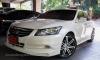 Accord MUGEN G8 Minor (2010- )