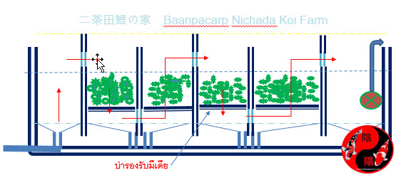 การออกแบบบ่อกรอง (การกั้นกรอง)