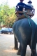Riding and Bathing Elephant in Kanchanaburi Tour