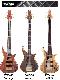 TUNE Bass TWB-53 (5 สาย)