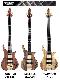 TUNE Bass TWB-5T (5 สาย คอตลอด)