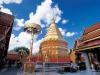 โปรแกรมทัวร์,แพ็คเกจทัวร์,เชียงใหม่,พระธาตุดอยสุเทพ,สวนสัตว์เชียงใหม่,เชียงใหม่ไนท์ซาฟารี,พืชสวนโลก