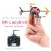 Lady Bird เต่าทองบิน 6 CH  2.4 Ghz สุดบอดของเล่นบินได้แห่งปี จาก Walkara
