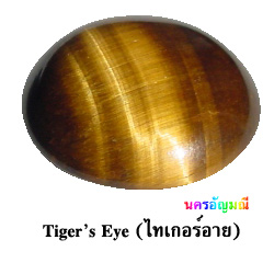 ไทเกอร์อาย (Tiger - คลิกที่นี่เพื่อดูรูปภาพใหญ่
