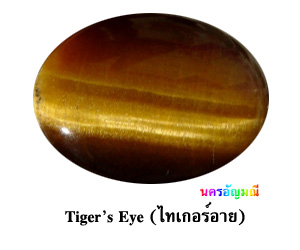 ไทเกอร์อาย (Tiger - คลิกที่นี่เพื่อดูรูปภาพใหญ่