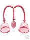 เครื่องปั๊มหน้าอกแบบมือบีบ รุ่น 2 ฝา  Breast Enlarger Pump Dual Exerciser