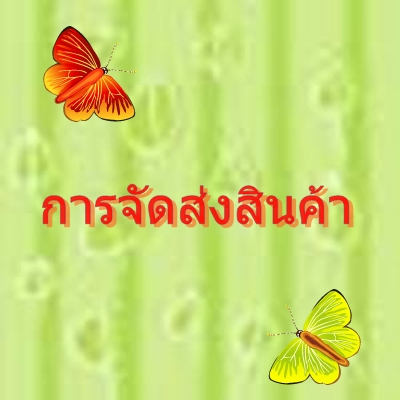 การจัดส่งสินค้า