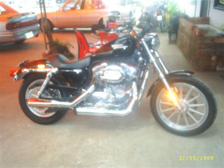 HARLEY DAVIDSON SPORTSTER XL883 ขายแล้วครับ - คลิกที่นี่เพื่อดูรูปภาพใหญ่