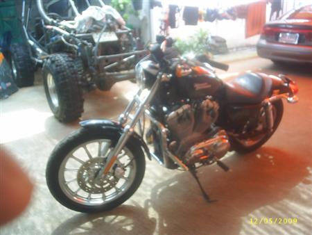 HARLEY DAVIDSON SPORTSTER XL883 ขายแล้วครับ - คลิกที่นี่เพื่อดูรูปภาพใหญ่