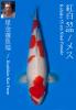 HOSHIKIN KOHAKU (+CERTIFICATE)