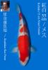 HOSHIKIN KOHAKU (+CERTIFICATE)