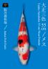 SAKAI SANKE (+CERTIFICATE)