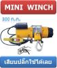 mini winch 300 kg.