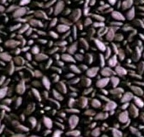 Virgin Black Cumin Seed Oil - 100cc - คลิกที่นี่เพื่อดูรูปภาพใหญ่