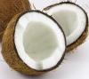 Virgin Coconut Oil - 1lite