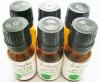 Virgin Moringa Seed Oil 10cc 6btls/pack