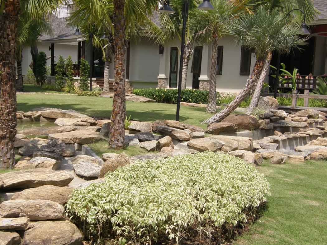 Rock Garden - คลิกที่นี่เพื่อดูรูปภาพใหญ่