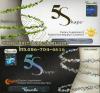 5 shape day (5เชพเดย์)+5 shape night (5เชพไนท์) ลดน้ำหนักเร่งการเผาผลาญอวดหุ่นฟิตกระชับขึ้น