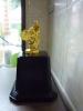 ถ้วยรางวัล