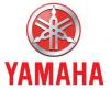 THAI YAMAHA MOTOR CO., LTD.