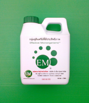 จุลินทรีย์อีเอ็ม คืออะไร มีประโยชน์อย่างไร