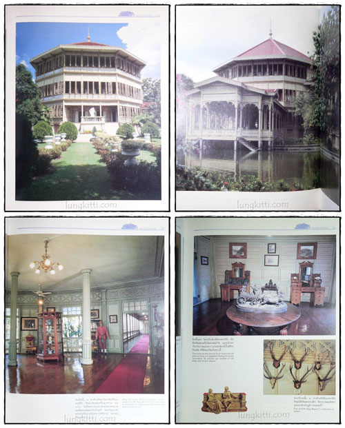 My Image 28