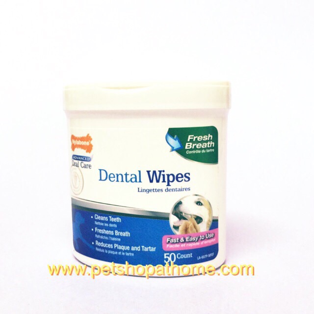 nylabone dental wipes