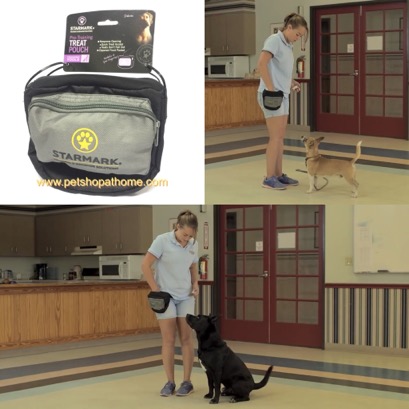 starmark treat pouch