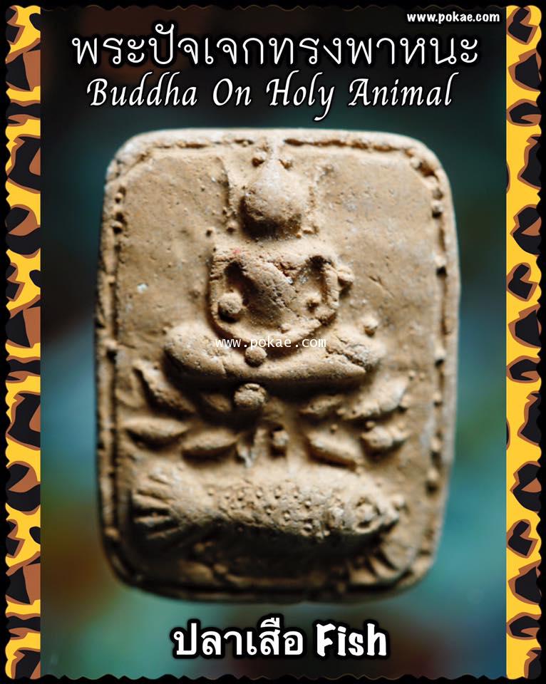 Buddha On Holy Animal (Fish) by Phra Arjarn O, Phetchabun. - คลิกที่นี่เพื่อดูรูปภาพใหญ่
