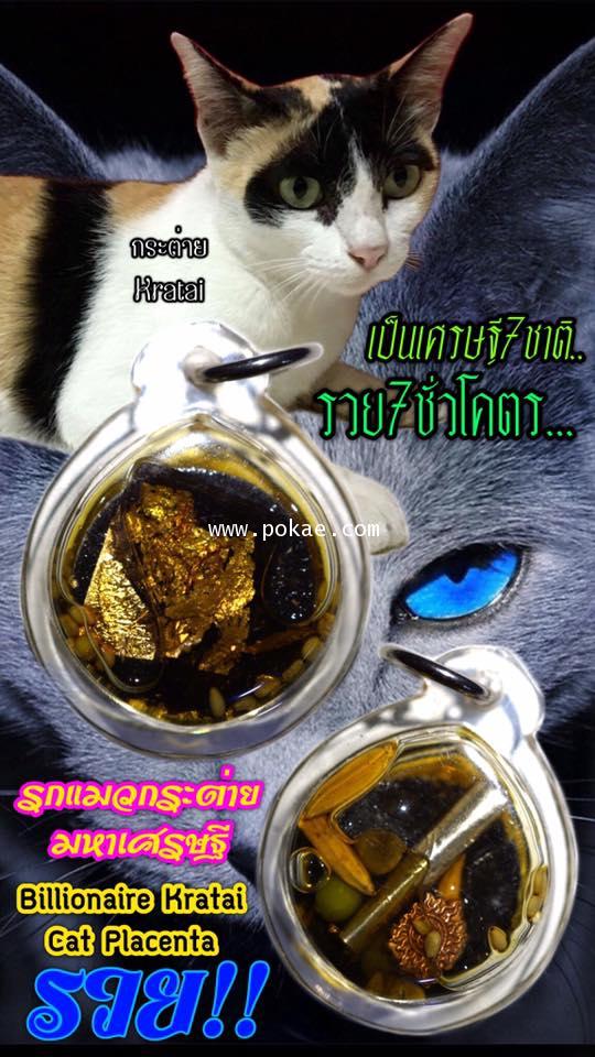 Billionaire Kratai Cat Placenta by Phra Arjarn O, Phetchabun. - คลิกที่นี่เพื่อดูรูปภาพใหญ่