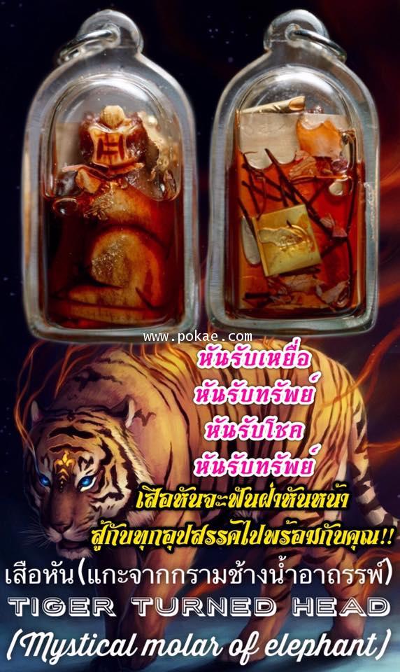 Tiger turn made from mystical molar of Walrus by Phra Arjarn O, Petchabun - คลิกที่นี่เพื่อดูรูปภาพใหญ่
