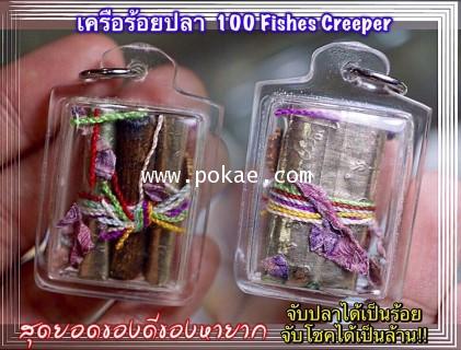100 Fishes Creeper by Phra Arjarn O, Phetchabun. - คลิกที่นี่เพื่อดูรูปภาพใหญ่