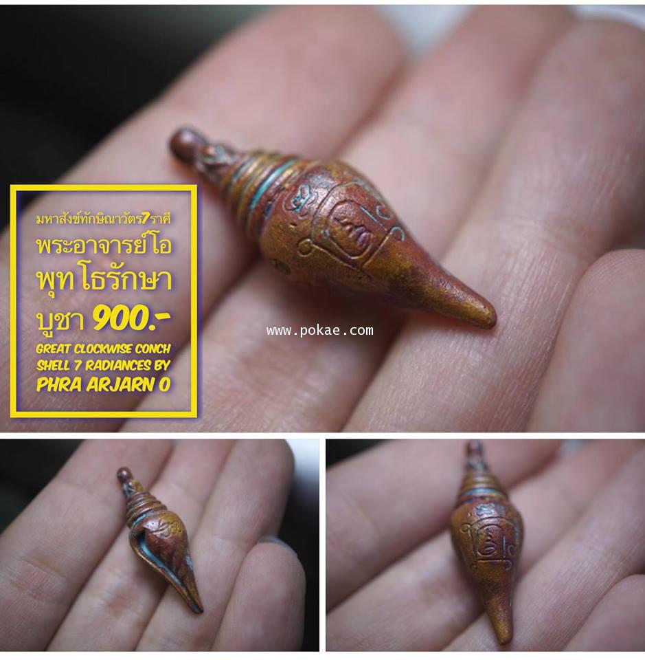 Great Clockwise Conch Shell 7 Radiances by Phra Arjarn O, Phetchabun. - คลิกที่นี่เพื่อดูรูปภาพใหญ่
