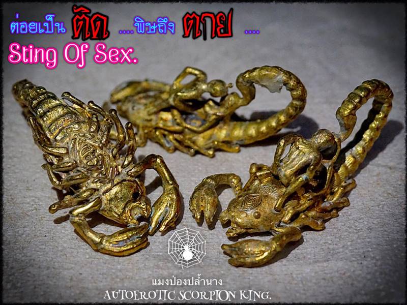 Autoerotic Scorpion King by Phra Arjarn O, Phetchabun. - คลิกที่นี่เพื่อดูรูปภาพใหญ่