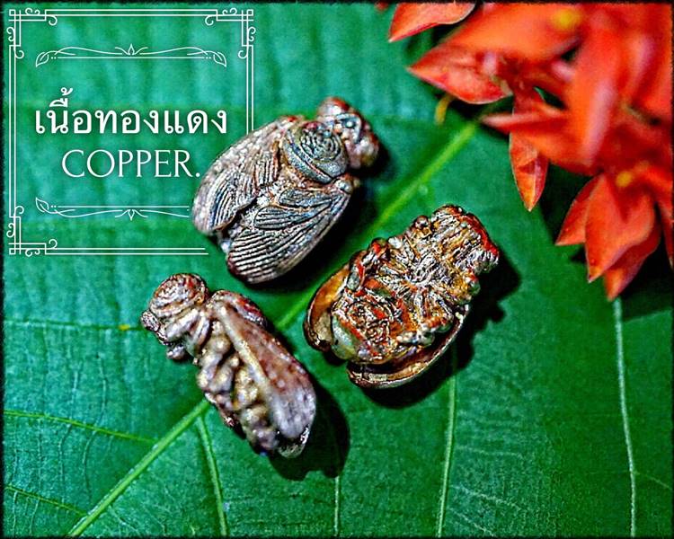Emperor Golden Bumblebee (ฺCopper) by Phra Arjarn O, Phetchabun. - คลิกที่นี่เพื่อดูรูปภาพใหญ่