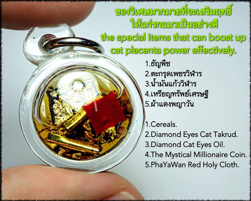 Billionaire Kratae Cat Placenta by Phra Arjarn O, Phetchabun. - คลิกที่นี่เพื่อดูรูปภาพใหญ่