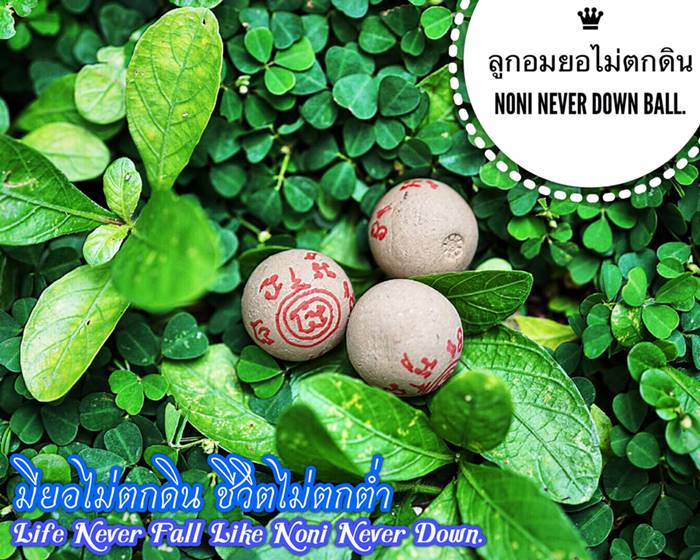 Noni Never Down Ball by Phra Arjarn O, Phetchabun. - คลิกที่นี่เพื่อดูรูปภาพใหญ่