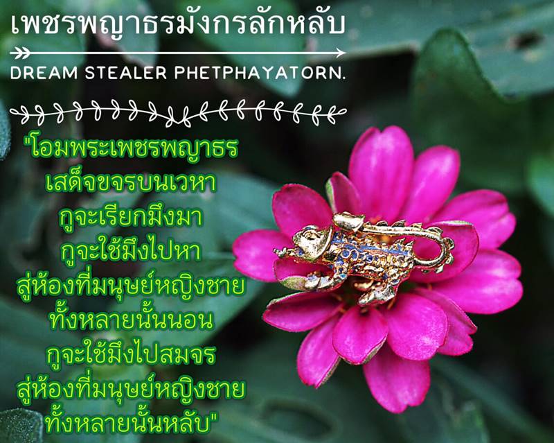Dream Stealer Phetphayatorn by Phra Arjarn O, Phetchabun. - คลิกที่นี่เพื่อดูรูปภาพใหญ่