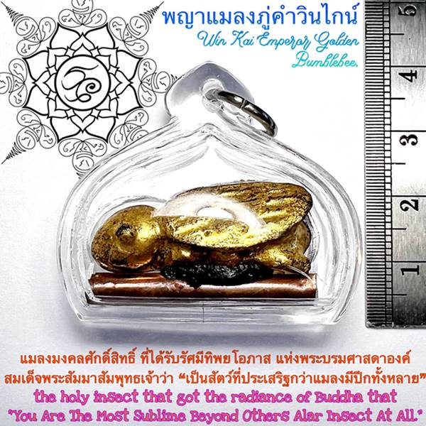 Win Kai Emperor Golden Bumblebee by Phra Arjarn O, Phetchabun. - คลิกที่นี่เพื่อดูรูปภาพใหญ่