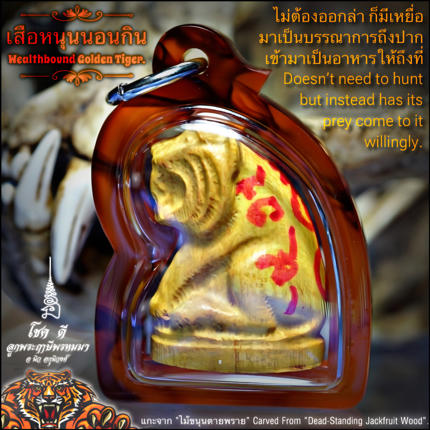 เสือหนุนนอนกิน, อาจารย์นิว อกุนิวงศ์ ตำหนักปู่ฤๅษีพรหมมา - คลิกที่นี่เพื่อดูรูปภาพใหญ่