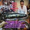 ปลัดปลาระเริงเมือง อาจารย์โอ ศักดา สำนักบ้านต้องมนต์