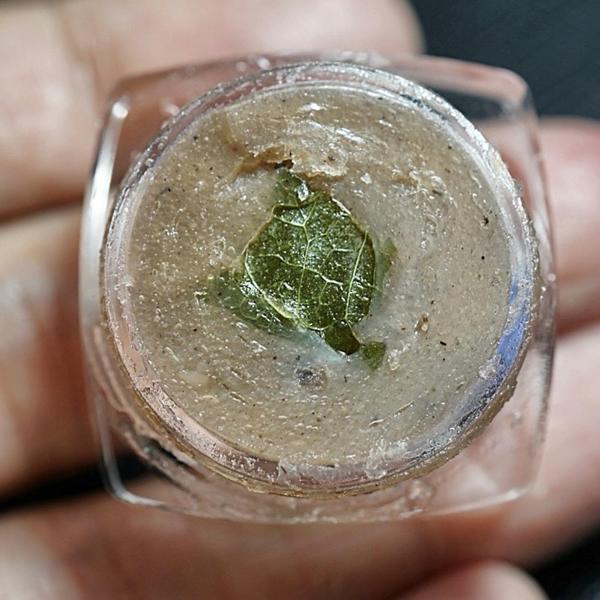 Entwining Soul Body Wax by Arjarn O Sakda, Ban Tong Mon Magic Academy - คลิกที่นี่เพื่อดูรูปภาพใหญ่