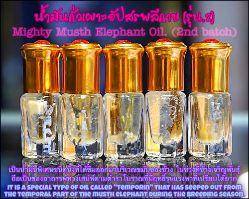 น้ำมันกั่วเผาะอัปสรพลีกาย (รุ่น.2) อาจารย์โอ ศักดา สำนักบ้านต้องมนต์ - คลิกที่นี่เพื่อดูรูปภาพใหญ่