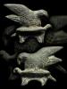 The Tortoise And The Eagle