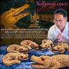 Golden Glamour Crocodile (2nd batch) by Arjarn O Sakda, Ban Tong Mon Magic Academy