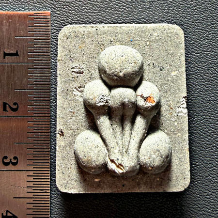 พระปิดตาผงพิเศษ (พิมพ์:กระดูกผีวัดโพธิ์) พระราชสิริวัชรรังษี หลวงพ่อท่านเจ้าคุณชำนาญ - คลิกที่นี่เพื่อดูรูปภาพใหญ่