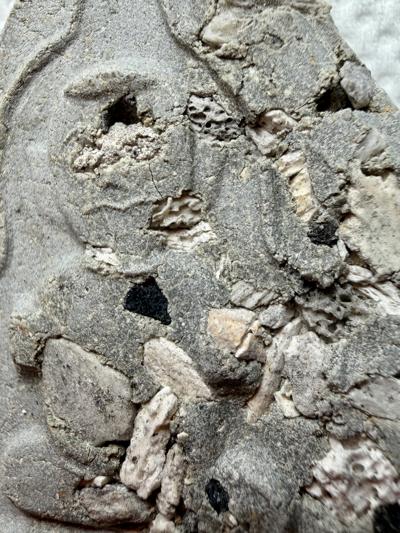 กุมารผงพิเศษ (พิมพ์ห้าเหลี่ยม) พระราชสิริวัชรรังษี หลวงพ่อท่านเจ้าคุณชำนาญ - คลิกที่นี่เพื่อดูรูปภาพใหญ่