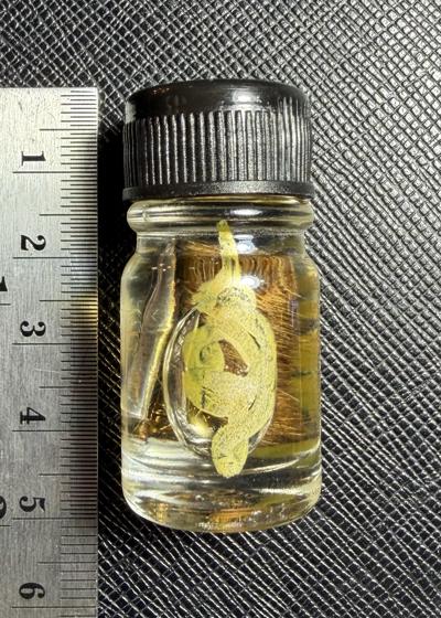 น้ำมันสมิงกินเหยื่อ (รุ่น.2) อาจารย์โอ ศักดา สำนักบ้านต้องมนต์ - คลิกที่นี่เพื่อดูรูปภาพใหญ่