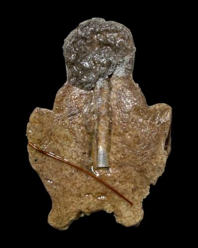 แม่เป๋อพรายดลจิต (รุ่น.2,องค์ครู) อาจารย์โอ ศักดา สำนักบ้านต้องมนต์ - คลิกที่นี่เพื่อดูรูปภาพใหญ่