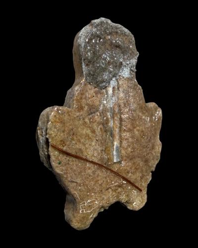 แม่เป๋อพรายดลจิต (รุ่น.2,องค์ครู) อาจารย์โอ ศักดา สำนักบ้านต้องมนต์ - คลิกที่นี่เพื่อดูรูปภาพใหญ่